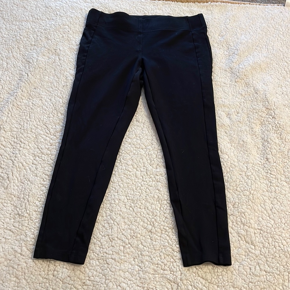 Ann Taylor loft skinny pants